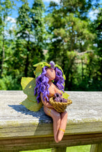 Load image into Gallery viewer, Black Raspberry Fae
