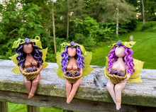 Load image into Gallery viewer, Black Raspberry Fae
